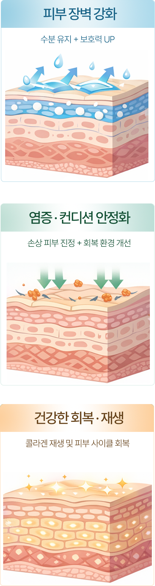 강남 논현 피부과 모바일 리바이브 진피층 흡수 시물레이션