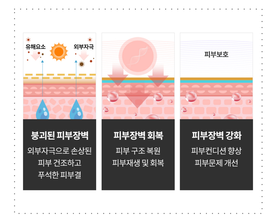 강남 논현 피부과 모바일 루아셀베이비주사 피부층 전달 과정